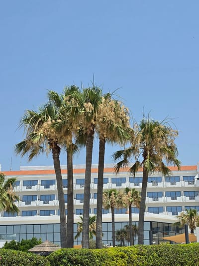 In Hlorakas Community, Cyprus, a sunlit day presents a low-angle view of several tall palm trees with lush green fronds in the foreground. Behind them stands a multi-story white building with a terracotta-tiled roof and numerous rectangular windows, some featuring balconies. The building's lower section has a modern glass facade. A dense green hedge runs along the bottom of the frame, partially obscuring a thatched-roof structure. The sky is a clear, bright blue.