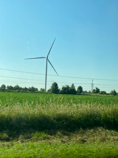 In Wojnowice, Poland, a tall white wind turbine stands prominently in a vast, green agricultural field under a clear, blue sky. The turbine has three blades, one pointing upward and to the left, the other downward and to the left, and the third blade is out of view, likely to the right. Power lines stretch horizontally across the middle ground of the image, supported by utility poles. The foreground and mid-ground are filled with lush green crops, possibly corn, with some dry grasses and vegetation visible at the very bottom of the frame. A line of trees borders the field in the distance, and the overall scene depicts a rural, open landscape on a bright, sunny day.