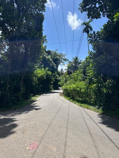 The image captures a road winding through a lush, green environment. On the left side of the road, dense foliage and trees, including palm trees, create a vibrant, verdant canopy that reaches towards a bright blue sky dotted with a few white clouds. Overhead, power lines are strung across the sky, a common sight in many rural and semi-rural areas. The road itself is paved and appears to be slightly wet, reflecting the dappled sunlight filtering through the leaves. Shadows of trees stretch across the asphalt, indicating a sunny day, likely mid-morning or afternoon. On the right side of the road, more trees and vegetation form a thick, green wall. Near the bottom right of the image, a pinkish, flower-like object is visible on the road surface. The overall impression is one of a peaceful, tropical or subtropical setting, possibly a quiet rural road in a place like Moodugamuwa, Sri Lanka. There is no visible text in the image.