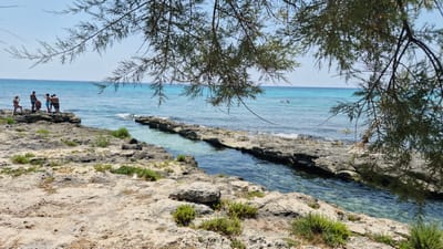 This image depicts a sunny day at a rocky coastline, likely in Porto Cesareo, Italy. The foreground is dominated by textured, pale-colored rocks interspersed with patches of green scrub. A narrow channel of clear, turquoise water runs through the rocks, leading out to the deeper blue sea.
In the mid-ground, a group of five people is gathered on a rocky outcrop near the water's edge. One person is standing on the left, facing away from the camera, while four others are clustered together. They appear to be enjoying a summer day, with the water and rocky landscape suggesting recreational activities such as swimming or sunbathing. In the background, two individuals can be seen swimming or floating in the distant sea.
The sky is a clear, pale blue, indicating fair weather. The time of day appears to be midday or early afternoon, given the bright sunlight casting minimal shadows. The scene evokes a sense of leisure and enjoyment of a natural coastal environment. No text is visible in the image.