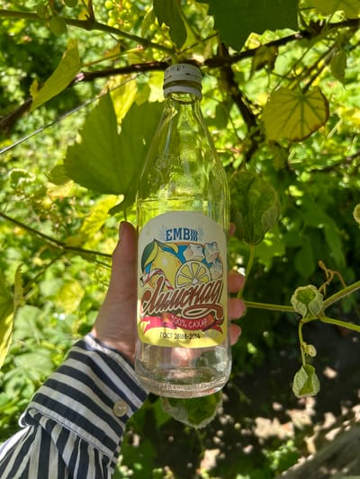 A hand wearing a striped shirt holds a glass bottle of "Lemonade" with a yellow label, surrounded by green foliage and vines. The label features a drawing of lemons, ice cubes, and a straw, and text that appears to be in Russian. The bottle is partially filled with a clear liquid. The background is lush and green, suggesting an outdoor setting, possibly a garden or vineyard. The image was captured in Zvonarevka, Russia.
