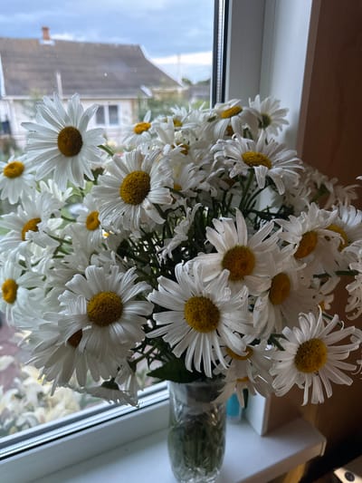 A bouquet of white daisies with yellow centers is displayed in a clear glass vase. The vase sits on a white windowsill, with a cloudy sky and houses visible through a window in the background. The scene appears to be indoors, likely in a residential setting within the Сароцкі сельскі Савет, Belarus region. The lighting is natural and diffused.