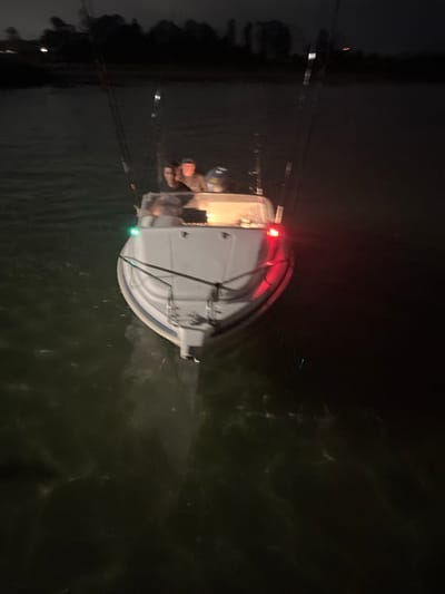The image captures a white powerboat navigating water at night, likely in Bellambi, Australia. The vessel displays a green navigation light on its starboard bow and a red navigation light on its port bow. An interior cabin light is illuminated, casting an orange glow. At least two individuals are visible within the boat's cockpit area; their features are indistinct due to the low light, but one appears to be wearing a cap. Multiple fishing rods are positioned vertically around the boat. The dark water surface reflects the boat's lights. A dark, indistinct landmass, consistent with a treed shoreline, is visible in the distant background under the nighttime sky.
