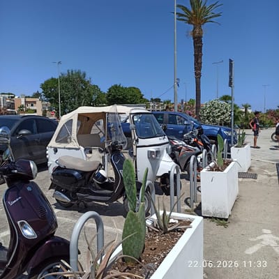 This is a vertical, wide-angle shot of a street scene in Trani, Italy. A variety of vehicles are parked along the street, including a white three-wheeled Piaggio Ape van with a tan canopy, a dark blue SUV, and several motorbikes. In the foreground, a dark purple Vespa scooter is partially visible. The street is paved, and there are planters with various plants, including cacti and aloe vera, along the side.
In the background, lush green trees and some flowering bushes are visible. The sky is a clear, bright blue, suggesting it is daytime and the weather is sunny and warm. There are streetlights and some buildings in the distance. A person is standing on the sidewalk, looking towards the vehicles. The overall impression is a sunny day in a Mediterranean town, with a focus on parked vehicles and the surrounding environment.
Some visible text includes "22.06.2026 11:33" printed vertically on the right side of the image, likely a timestamp. The word "Vespa" is visible on the purple scooter.