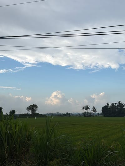 The image displays an expansive rural landscape in Ietarek Dua, Indonesia. The upper portion of the frame captures a blue sky featuring scattered white cumulus clouds, horizontally intersected by several dark utility wires. The foreground consists of dense, tall green vegetation. The midground is dominated by a vast, flat green field, consistent with a rice paddy. Within this field, a single large tree with a dark, full canopy stands to the left, and a cluster of palm trees is visible to the right. Several small, white, vertical objects are sparsely distributed across the green field. The distant horizon reveals faint outlines of hills under a slight atmospheric haze. No human subjects or discernible actions are depicted.