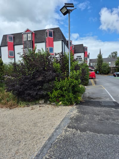 This is a full, eye-level, outdoor, medium shot of The Bush Hotel in Carrick-On-Shannon, Ireland, captured on a cloudy day with patches of blue sky. The hotel's white facade is visible with red accents around several dormer windows. Lush green and dark purple bushes and plants are in the foreground, obscuring the lower portion of the hotel. A grey, gravelly area is to the left, and a paved parking lot with yellow parking lines and bollards is to the right. A red van is parked in the lot. In the background, a church spire can be seen above the hotel's roofline, and a few trees and other buildings are visible. A large spotlight on a pole is positioned above the hotel.