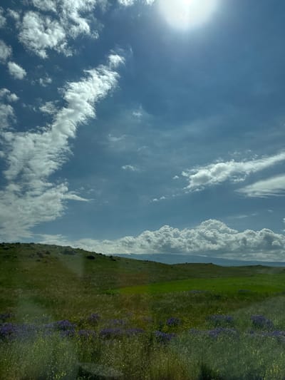 This is a photograph of a rural landscape. The scene is dominated by a vast blue sky filled with white, puffy clouds, indicating a partly cloudy day. On the left side of the image, the sun is visible, its bright light creating a lens flare and illuminating the sky.

The lower portion of the image depicts a rolling green hillside covered in lush grass. Scattered throughout the grass are clusters of small purple wildflowers. The terrain suggests an open, natural environment, possibly a meadow or pasture. The overall impression is one of a bright, clear day with a gentle breeze, typical of a springtime or early summer scene. There is no visible text, people, or man-made objects, emphasizing the natural beauty of the location. The orientation of the image is rotated 90 degrees counterclockwise, with the sky appearing on the left and the landscape on the right.