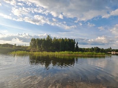 The image depicts a serene natural landscape with a body of water in the foreground, reflecting a bright sky filled with fluffy white clouds and patches of blue. A dense line of green trees borders the far side of the water, with lush green vegetation growing along the water's edge. In the distance, on the right side of the frame, a few small structures, possibly houses or sheds, are visible near the tree line. The water's surface is rippled, suggesting a gentle breeze. The overall impression is one of tranquility and untouched nature, consistent with a rural or park-like setting. The location is identified as Mežezeri, Latvia.