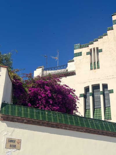 Here is a description of the image:
The image shows a low-angle view of a building in Sant Pol De Mar, Spain, with a clear blue sky above. The building is white and has a stepped facade with multiple windows. The windows have green trim and some have blinds. A vibrant bougainvillea plant with purple flowers grows on the side of the building. A balcony with a black railing is visible. An antenna is mounted on the roof. A street sign reading "Carrer Riera" is attached to the wall near the bottom right corner. Several birds are flying in the sky.