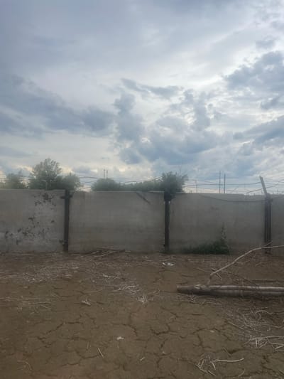 The media file depicts an outdoor scene, likely in a rural or arid environment, with a focus on a concrete structure and the surrounding ground. The concrete structure appears to be a wall, possibly part of a building or enclosure, with some signs of weathering and wear. It is vertical in orientation in the original image, suggesting it is a wall of significant height. In front of the wall, there are some metal supports, adding to the structural feel of the scene. The ground in front of the wall is dry and cracked, covered with sparse, dry vegetation and branches, indicating a potentially arid climate or a period of drought. Behind the concrete wall, trees and vegetation are visible, creating a contrast with the dry ground. Above, a dramatic sky filled with heavy, dark clouds suggests an impending storm or a recent weather event. The lighting is overcast and diffused, typical of a cloudy day. The overall mood is somewhat somber and desolate due to the cracked earth and heavy sky, but the presence of greenery offers a hint of life. There is no visible text in the media file. The scene appears to be devoid of people or any active event taking place, presenting a static view of the environment. The location context "Успенка, Kazakhstan" suggests this is likely a location within that region.