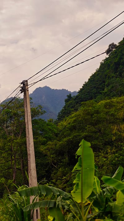 The image depicts a lush, verdant landscape in Thuận Hòa Commune, Vietnam. A concrete utility pole stands prominently in the foreground, with electrical lines extending across the frame. Behind the pole, dense tropical foliage dominates, including banana plants with large, green leaves. A mountain rises in the background, partially obscured by the vegetation and a hazy sky. The overall scene suggests a rural or semi-rural environment, characterized by abundant greenery and the presence of infrastructure.