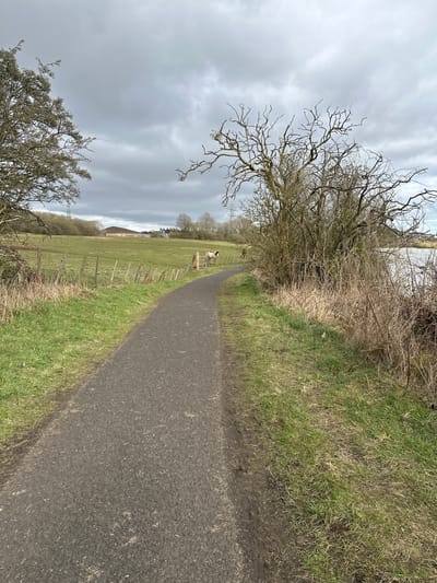The image presents a ground-level view of a path in a rural setting. The path, composed of dark asphalt or similar material, extends into the distance, curving slightly to the left. To the right of the path is a grassy verge, while to the left, a grassy field is bordered by a dilapidated wooden fence. Beyond the fence, a field contains at least one sheep visible in the middle distance. Bare trees and bushes line the left side of the path, adding a sense of enclosure. The sky is overcast, contributing to a subdued, grey atmosphere. Given the rural characteristics and geographical constraints, the scene can potentially locate to Dunfermline, United Kingdom. No individuals are visible in the image.