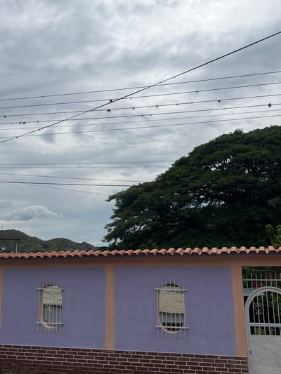 The image depicts a view of a building wall in Villa de Cura, Venezuela, under a cloudy sky. The wall is painted lavender with a peach-colored vertical stripe and a brick base. Two oval windows with white metal bars are visible on the lavender section. A white arched gate is on the right side. Above the wall, a large, leafy green tree dominates the right half of the frame, with a hilly landscape and power lines in the background. The power lines are strung with small, dark objects, possibly nesting materials. The overall scene is an outdoor environment with residential architecture and natural elements under overcast weather conditions.