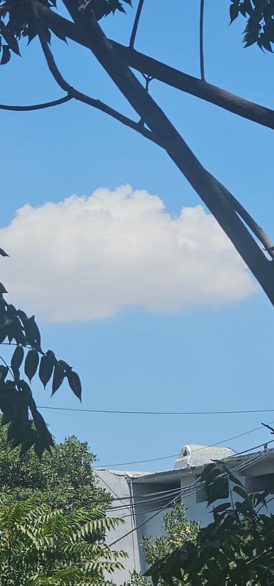 A bright blue sky with a single, fluffy white cloud is visible. In the foreground, dark tree branches extend across the top of the frame, with some dark green leaves on the left side. Below the cloud, the edge of a white building with a gray roof is visible, along with some electrical wires. Lush green trees are seen in the lower portion of the image, obscuring some of the building. The scene appears to be outdoors in an urban or suburban setting, likely in Karshi City, Uzbekistan, given the presence of vegetation and buildings. There are no people or animals present in the image.