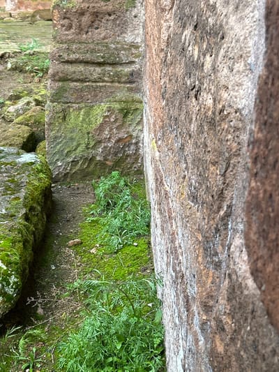 The image depicts a section of an old stone structure, likely part of a building or wall, in Anipemza, Armenia. The structure is made of rough-hewn stone, weathered and covered in moss and other vegetation. The image is taken from a low angle, looking upwards, and the lighting is somewhat subdued, casting shadows on the stone and highlighting the texture of the material. A few plants are visible in the foreground.