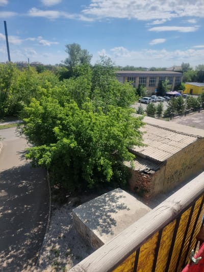 A high-angle, eye-level medium shot captures a sunny day with a bright blue sky and scattered clouds. In the foreground, a weathered wooden railing of a balcony or observation deck runs diagonally from bottom right to the top left. Beyond the railing, a dense canopy of lush green trees dominates the mid-ground, obscuring much of the ground below.
To the right of the trees, a single-story building with a corrugated metal roof and brick walls is visible. The brickwork appears aged, with some parts possibly damaged. Graffiti or markings are present on the wall of this building. Adjacent to this structure, to its right and slightly further back, is a yellow building.
In the background, a larger, elongated industrial-style building with a dark roof and numerous windows stretches across the scene. In front of this building and the yellow structure, several cars are parked, and a blue tent or canopy is set up, suggesting an outdoor event or gathering. The area appears to be an urban or semi-industrial setting with other smaller buildings and vegetation scattered throughout. The presence of trees and buildings suggests this is a developed area within a city.