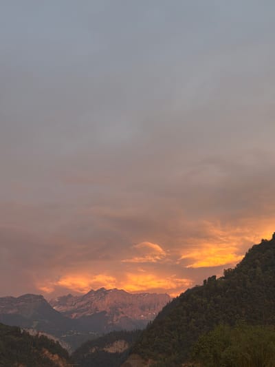 This image depicts a dramatic sunset over a mountainous landscape. The scene is dominated by a gradient of colors in the sky, transitioning from a soft gray to vibrant oranges and yellows as the sun dips below the horizon. Wispy clouds are illuminated by the setting sun, creating a warm and ethereal glow.
On the right side of the frame, rugged mountain peaks rise sharply, their rocky faces catching the last rays of sunlight, creating a stark contrast with the shadows that are beginning to creep across the slopes. The mountains are covered in dense, dark green vegetation, suggesting a forested alpine environment. In the foreground, a dark, shadowy slope leads up towards the more rugged peaks.
The time of day is clearly sunset, characterized by the intense, warm light and the lengthening shadows. The weather appears to be clear, allowing for an unobstructed view of the sunset and the illuminated clouds.
There is no visible text in the image. The overall mood evoked by the image is one of awe and natural beauty, highlighting the grandeur of the mountains and the captivating spectacle of a sunset. The location context provided is Cluses, France, which aligns with the presence of mountainous terrain.