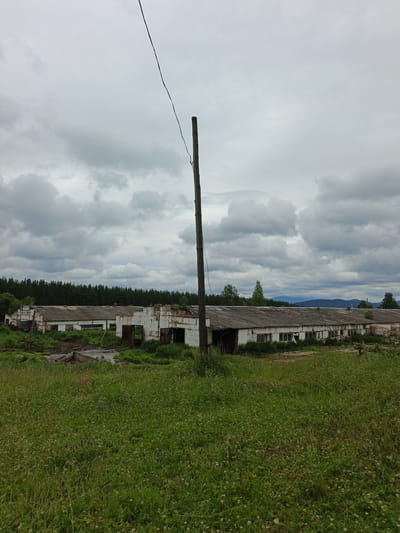 The image depicts a long, low-lying, abandoned building with a dilapidated roof and white walls, situated in a field of tall green grass. Several doorways and broken windows are visible along the facade of the building, suggesting disuse and decay. A tall wooden pole with a wire extending from it stands prominently in the foreground, slightly off-center. In the background, a dense forest of dark green trees stretches across the horizon, with faint mountains visible in the distance under a cloudy, grey sky. The scene appears to be located in Medvedevka, Russia.