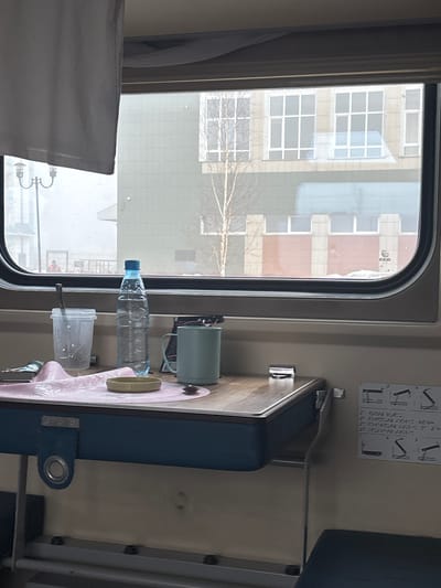 The scene is observed from inside a train carriage, looking out a window, located in Barabinsk, Russia. In the immediate foreground, a wooden-topped folding table is secured to the interior wall. On the table, from left to right, are: a pink, roughly oval-shaped mat; a clear plastic cup containing a spoon and white residue; a clear plastic bottle filled with water, capped in blue; a light blue-green ceramic or metal mug; and a small, shallow, light green-brown dish. A dark, small object rests near the mug. A white fabric curtain hangs partially over the upper left portion of the window. To the right of the table, a white decal on the beige wall displays diagrams illustrating various seat and bed configurations.

Through the train window, an exterior urban environment under overcast conditions is visible. In the mid-ground, a multi-story building with a pale green lower facade and a beige upper section featuring multiple white-framed windows is prominent. A leafless deciduous tree, likely a birch, stands between the train and this building. Below the building, a section of red-brick wall with light-colored vertical pillars is topped by a lighter structure, with patches of snow on the ground. A small black and white sign is affixed to the red-brick wall. To the far left, a black lamppost with two luminaires is visible. Further in the distance, a human figure wearing an orange high-visibility jacket is discernible, partially obscured by a dark barrier or railing, standing in a snow-covered area.