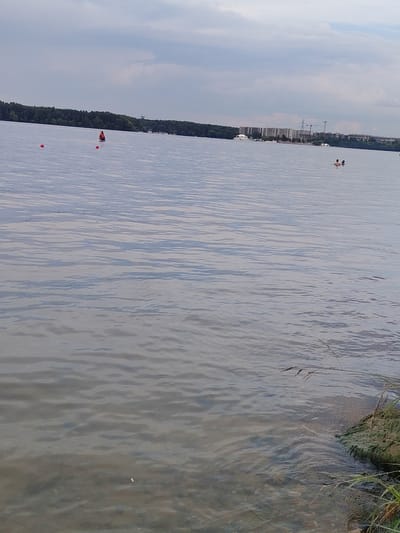 The image depicts a wide, calm body of water with a cloudy sky overhead. In the distance, a tree line borders the water, beyond which are buildings and construction cranes, suggesting a developed area. Closer to the water's edge on the right side of the frame, a rocky bank covered in green moss is visible, with some dry grass growing from it. Several buoys are scattered in the water. In the middle ground, a person wearing a red life vest is standing in the water. Further out, two people are swimming. The water is clear enough to see the rocky bottom near the shore.