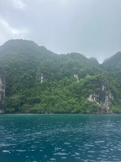The image depicts a wide shot of a coastline with steep, jungle-covered cliffs rising from the water under an overcast sky. The water in the foreground is a deep turquoise, with small whitecaps and ripples visible. The cliffs are densely vegetated with lush green trees, and sheer rock faces with streaks of white are visible in places. The sky is a pale, diffused gray, suggesting a cloudy or foggy day. The scene appears to be a natural landscape, likely a bay or cove. There are no people or man-made structures immediately visible. The location is identified as Haad Hin Khom, Thailand.