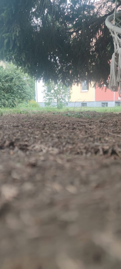 The image shows a low-angle view of the ground in front of a building in Liebenburg, Germany. The ground is covered with dirt and debris. In the background, there is a building with yellow and red sections, and windows. A tree with green leaves is in front of the building. There are also some bushes and grass in the foreground. A macrame swing is visible hanging from a tree branch on the right side of the image. The scene appears to be outdoors, possibly in a park or backyard. There are no people visible in the image.
