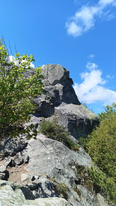 The image depicts a rock formation in Sini Vrah, Bulgaria. The formation is composed of various sizes and shapes of gray stone, with patches of moss and vegetation growing on its surface. A pathway is visible at the base of the rock formation. A tree with green leaves is on the left side of the image. Another tree with green leaves is on the right side of the image. The sky is bright blue with scattered white clouds.