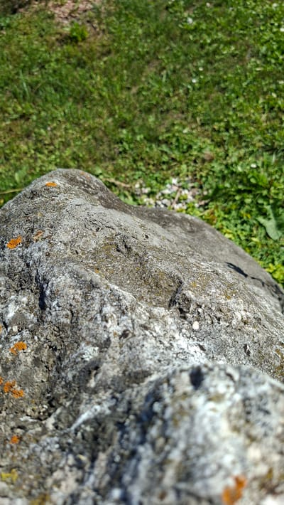 The image is a close-up, low-angle shot of a grey, weathered rock covered in patches of orange and green lichen. The rock occupies the foreground and middle ground of the image. In the background, out of focus, is a patch of green grass with some small white flowers and scattered pebbles. The lighting suggests it is daytime. No people or specific landmarks of Enns, Austria, are identifiable in this image.