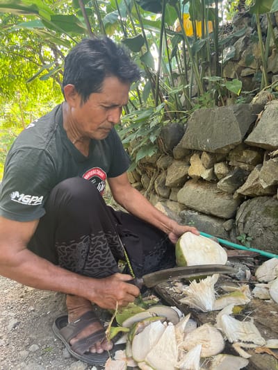 An Indonesian man is kneeling on the ground, preparing to cut a coconut with a large knife. He is wearing a black t-shirt with graphics and black pants with a patterned design. He is outdoors in a rustic environment, with a stone wall behind him and lush greenery surrounding the area. There are several coconut husks and pieces scattered on the ground around him, indicating he has already begun processing the coconuts. A green hose is visible near the coconuts. The lighting suggests it is daytime, with sunlight filtering through the foliage. The location is identified as Prabu, Indonesia.