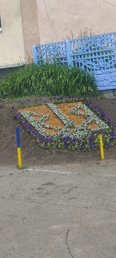 In Kolomak, Ukraine, a street-level view captures a floral arrangement in the foreground, shaped like the Cyrillic letters "ЛР". The letters are formed with orange-brown mulch and bordered by silver-leafed plants and purple flowers. Behind the floral display, a vibrant green hedge is visible, partially obscured by a bright blue metal fence with an ornate design. The fence runs horizontally across the middle ground. In the background, a building with textured walls in pale yellow and beige hues is seen. Two cylindrical posts stand in the foreground: one is yellow and blue striped, and the other is solid yellow. The ground is a mix of asphalt and dirt.