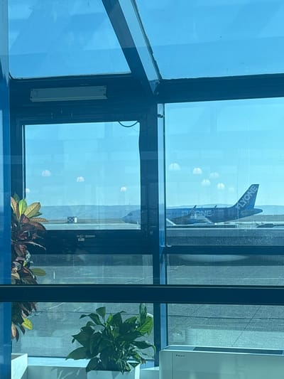 The image depicts an airport tarmac scene viewed from inside a terminal building through blue-tinted windows, consistent with Chisinau International Airport near Bubuieci, Moldova. The foreground features large, dark-framed glass panels, reflecting several semicircular light sources from the interior. To the left, a potted plant with reddish-green foliage is partially visible. At the bottom center, another potted plant with dark green leaves rests in a white planter. A white Daikin air conditioning unit is partially visible on the bottom right. Beyond the windows, a blue and white "FLYONE" aircraft is stationary on the tarmac. The airline's name is clearly visible on the tail fin and fuselage. A small, square, white and gray checkered marker is present on the tarmac to the left of the aircraft's nose. The background reveals a clear, bright sky above a low, distant horizon of rolling terrain. No individuals are visible in the scene.