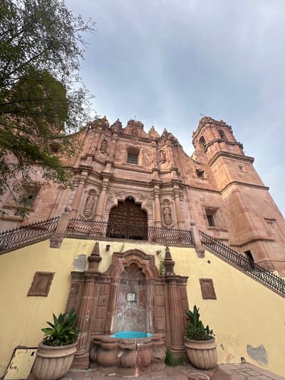 The image shows a low-angle view of the exterior of the Templo de San Francisco in Zacatecas City, Mexico. The church is constructed of pinkish-red stone and features an ornate Baroque facade with intricate carvings, statues, and columns. A large wooden door is centrally located within the facade. To the left of the main entrance, a green tree with dense foliage partially obscures the upper portion of the building. To the right, a bell tower rises above the main structure.
In the foreground, a wide, pale yellow staircase leads up to the church entrance. Black metal railings with decorative scrollwork line the sides of the stairs. At the base of the staircase, a fountain made of carved red stone is visible. The fountain has a central niche with what appears to be a blue basin. Two large, decorative planters with green plants are placed on either side of the fountain. The sky above is overcast with a pale, cloudy gray hue. The overall scene is bathed in soft, diffused light.