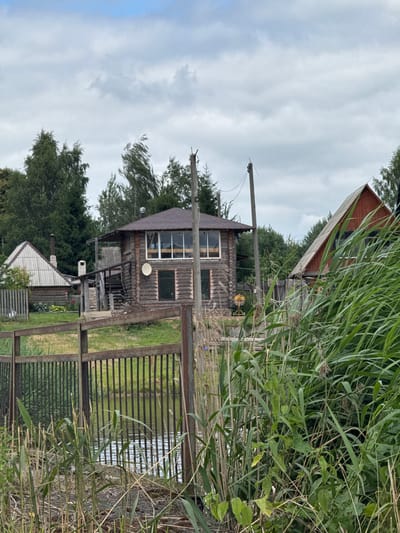 This image depicts a rural landscape in the vicinity of the Vishyouski Selski Sovet, Belarus. In the foreground, tall reeds and grasses obscure a metal fence that runs horizontally across the frame, bordering a body of water. The water appears calm with some ripples. Beyond the fence and reeds, a wooden house constructed of logs stands prominently. This house features large windows on its upper level and a porch with wooden stairs. To the left of the log house, another smaller building with a triangular, corrugated roof is visible. In the background, dense green trees form a treeline under a cloudy, overcast sky. There are visible power lines and poles in the scene. The overall impression is one of a quiet, natural setting with traditional rural dwellings.