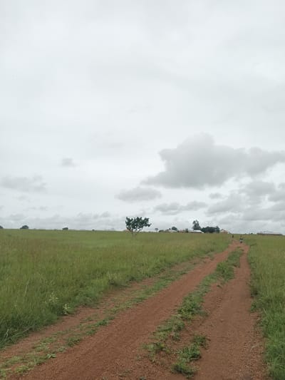 This is a vertical, eye-level, medium shot of a dirt road winding through a grassy field in North Ropp, Nigeria. The sky is overcast with gray clouds. The road is reddish-brown and appears to be well-traveled. On the right side of the road, a person is riding a motorcycle away from the camera. In the distance, there are a few buildings with red roofs and some trees. The grass is tall and green, indicating a rural setting.