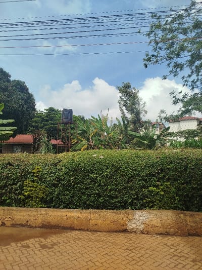This image depicts an outdoor scene in Kihara ward, Kenya. The foreground consists of a light-brown interlocking paver surface, which appears wet in various areas, suggesting recent moisture. A low, weathered, ochre-colored concrete or stone wall, approximately 30-40 cm in height, runs horizontally across the lower middle of the frame, separating the paved area from the scene beyond. Immediately behind this wall is a dense, well-maintained green hedge, extending across the entire width of the image.

Above the hedge, extensive green vegetation is visible, including large trees with dark canopies on the left, numerous broad-leafed plants resembling banana trees, and other tropical foliage. Towards the left-center, a dark-colored (likely black or dark grey) cylindrical water tank is elevated on a rusty-brown metal support structure, rising above the surrounding vegetation. To the left of the water tank, partially obscured by trees and the hedge, a building with a reddish-brown corrugated iron roof is discernible. To the right-middle, a multi-story building with light-colored walls and a pitched roof is visible amidst and above the trees.

The upper portion of the image displays a partly cloudy sky, with bright blue areas and scattered white cumulus clouds. Multiple thin, dark horizontal lines, consistent with overhead electrical or communication wires, traverse the sky in the upper third of the frame. No individuals, animals, or explicit actions are observed in the scene.