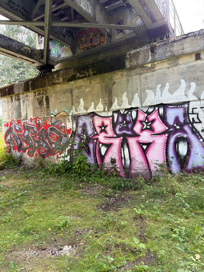 The image captures a section of a concrete bridge support structure adorned with graffiti, located in Tēraudi, Latvia. The graffiti on the wall features bold lettering in red and black, with a second piece in shades of pink and purple, incorporating star shapes and outlines. The bridge itself, made of weathered metal beams, is visible overhead, also bearing some graffiti. The ground in front of the support is covered in lush green grass and various plants, with some scattered stones and dirt. The overall scene suggests an urban or semi-urban environment where the bridge structure has become a canvas for street art.