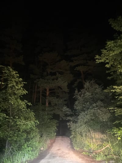 A dirt road curves through a dense forest at night. The trees on either side of the road are tall and dark, with some of their branches illuminated by an unseen light source, likely headlights. The foliage is lush and green, indicating a summer or spring season. The sky above is completely black, with no stars or moon visible. The overall impression is one of isolation and darkness, with the road leading into an unknown depth of the forest. The location is the city of Yekaterinovka, Russia.
