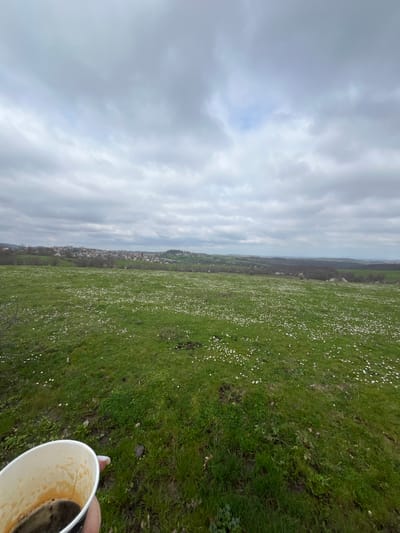 The image shows a meadow covered in grass and small white flowers. In the distance, there is a view of a town with buildings clustered together. The sky is overcast with gray clouds. In the foreground, a person is holding a white paper cup with a dark liquid inside, likely coffee. The location is Zidarovo, Bulgaria.