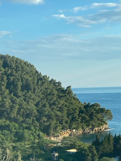 The image shows a coastal scene, likely in Brežine, Montenegro. A densely forested hillside descends towards the sea. A rocky outcrop punctuates the coastline. Some buildings are visible amongst the trees. The sky is light blue with scattered clouds. The sea is visible as a band along the top right of the image. The orientation of the photograph is sideways.