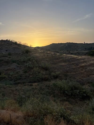 The image depicts a sunset over a rural, hilly landscape. The sky is a gradient of soft yellow and pale blue, with the sun setting behind a distant hill. The foreground is dominated by dry, sparse vegetation, including grasses and shrubs, with some leafless trees scattered throughout. The terrain is uneven, with slopes and undulations. In the distance, the silhouette of hills is visible, with some structures, possibly houses or buildings, sparsely dotting the slopes. A road or path is also discernible in the mid-ground. The overall impression is one of a dry, somewhat arid environment during the golden hour. The specific location is not discernible from the image itself, but the prompt suggests it is in Rincón de la Victoria, Spain. No people or specific actions are visible.