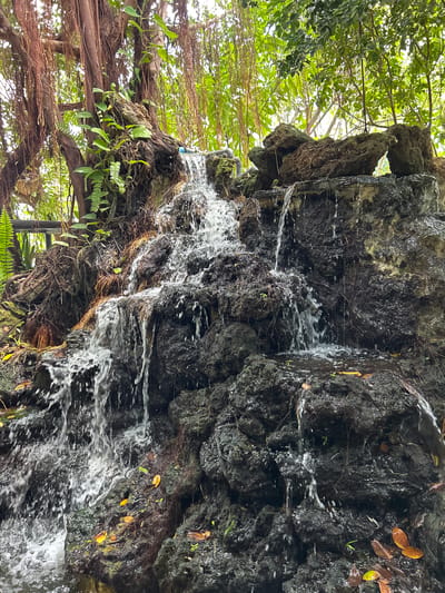 A vertical, medium shot captures a cascading waterfall over dark, rough rocks. The waterfall originates from the top left and flows down, with water creating a foamy spray as it tumbles over various rock formations. Lush green foliage, including ferns and vines, grows around and above the waterfall, with long, thin roots hanging down from a large tree trunk on the left. Some fallen yellow leaves are visible on the rocks at the base of the waterfall. The scene suggests a natural or landscaped water feature, possibly in a garden or park setting within the city of Prachuap Khiri Khan, Thailand.