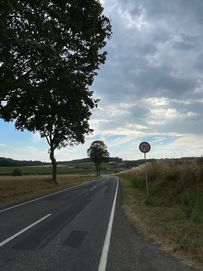 The image depicts a road in Holzburg, Germany, under a cloudy sky. The road curves to the right and is bordered by a grassy embankment on the right and trees and fields on the left. A speed limit sign indicating "70" is visible on the right side of the road. The landscape suggests a rural or semi-rural setting with rolling hills in the background. The lighting indicates it is likely late afternoon or early evening. There are no people or vehicles visible in the image. The foreground shows the asphalt road with white lane markings. Tall grasses and some trees line the sides of the road, with a larger tree dominating the left side of the frame. In the distance, there are glimpses of houses and fields.