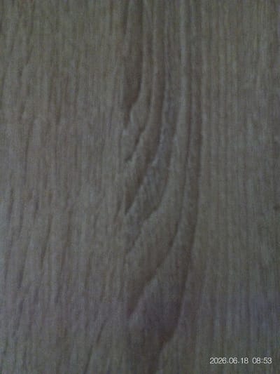 The image shows a close-up view of a textured surface, possibly wood grain, with a faint timestamp "2026.06.18 08:53" in the bottom right corner. There is no indication of Beringen, Belgium, or any urban environment in the image. The surface appears to be a neutral, light brown or beige color with subtle variations in shade and texture. The lighting is diffuse, creating soft shadows that highlight the undulations of the surface.