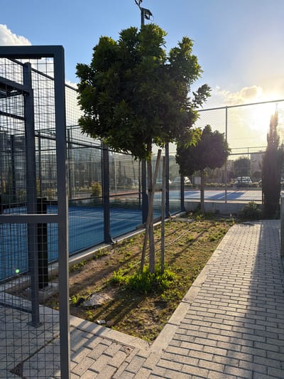 The scene is an outdoor sports facility, possibly a padel tennis court, with a blue playing surface enclosed by a metal fence. A brick pathway runs alongside the court, separated by a narrow strip of grassy area. A row of small trees lines the edge of the court and path. The sun is shining brightly, casting shadows on the pathway. In the background, a light-colored car is visible through the fence. The location is estimated to be in Tserkezoi, Cyprus, based on the instruction. The image is taken at a slight angle, looking down on the court and pathway.