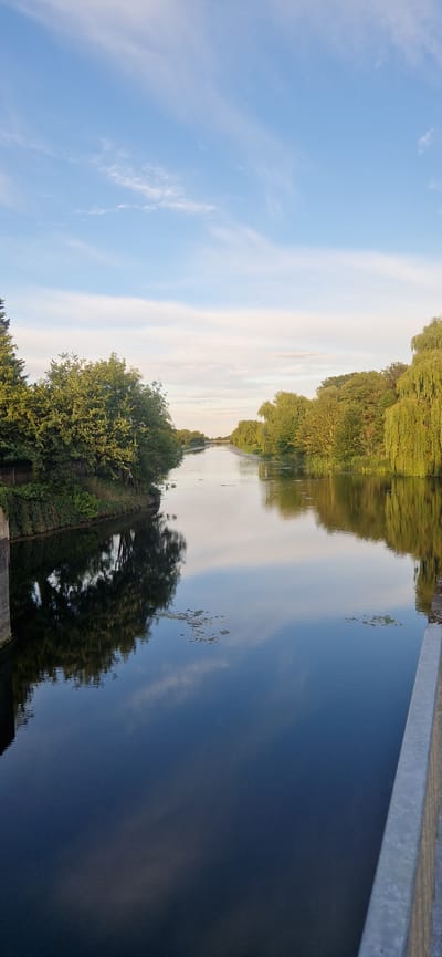A wide canal runs through a green, tree-lined area, reflecting the sky and foliage. On the left bank, dense green trees and some darker foliage are visible, with a reflection of trees in the dark water. On the right bank, weeping willow trees with long, drooping branches are prominent, their reflections also visible in the water. The canal extends into the distance, with a bridge visible across it. The sky above is blue with scattered white clouds. The image appears to have been taken from a bridge or elevated viewpoint, with a concrete barrier visible in the foreground on the right. The overall scene depicts a tranquil, natural landscape within a semi-urban or park-like setting in South Holland, United Kingdom. There are no people or animals visible in the image.