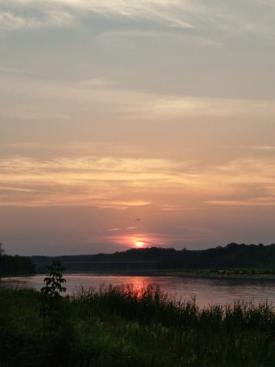 A serene sunset over the Bug River in Topolina, Poland, paints the sky with hues of orange and pink. The water reflects the warm glow of the setting sun, creating a shimmering path across its surface. A dark, tree-lined bank forms the horizon, with a distant bridge faintly visible. The foreground is a dense carpet of green grass and reeds, with a small tree standing sentinel on the left. Two birds are captured in flight against the colorful sky. The atmosphere is peaceful and tranquil, evoking a sense of natural beauty and quiet contemplation.