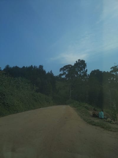 The scene depicts an unpaved, light brown dirt road winding through a heavily vegetated area in Alimbongo, Democratic Republic of the Congo. The road occupies the lower and central portion of the image, gradually curving right and receding into the distance. Dense, dark green foliage and trees line both sides of the road, forming elevated embankments. The sky is clear blue with sparse, wispy white clouds. On the right side of the road, on a patch of grass near the embankment, two individuals are visible. One person is seated, wearing a garment with dark and light stripes. Adjacent to this individual, a second person is partially obscured and appears to be positioned next to a light blue/green object, resembling a bag or tarp. The background is dominated by a dense, dark green forest canopy. The overall environment suggests a rural or semi-rural setting.
