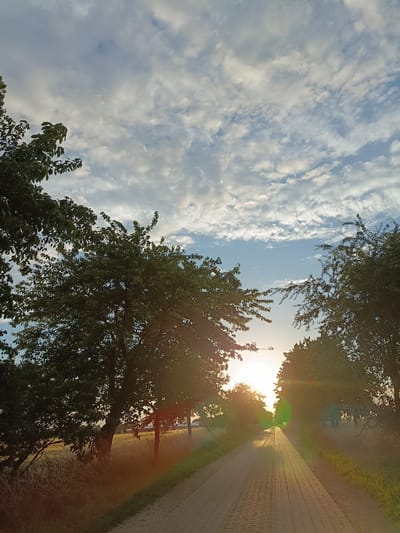 The image depicts a paved pathway lined with trees on either side, leading towards a setting sun. The pathway is constructed of interlocking rectangular pavers, and is bordered by tall grass and what appears to be a cultivated field to the left. The sun is low on the horizon, casting a warm glow and creating lens flares that streak across the scene. The sky is partly cloudy, with a mix of white and gray clouds against a pale blue backdrop. The trees are lush and green, with some branches extending over the pathway. The overall impression is one of a serene rural or semi-rural landscape in the late afternoon or early evening. The location is identified as being in Gartz (Oder), Germany. There are no people or animals visible in the image. The image is taken from a ground-level perspective.