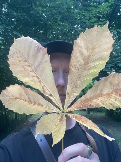 In Rodnichkovoye, Russia, a person with fair skin and a mustache is partially obscured by a large, yellow, five-fingered leaf. They are wearing a black t-shirt and a black cap. A brown leather strap, possibly from a bag, crosses their shoulder. The person is holding the leaf stem with their right hand, which is adorned with an ornate ring. Their braided hair is visible, tied with a black elastic band. The background consists of lush green trees and foliage, suggesting an outdoor setting, likely a park or wooded area. The overall lighting indicates it is daytime.