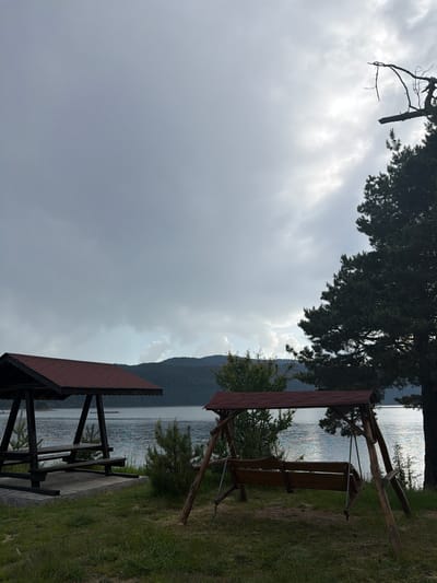 This image captures a serene lakeside scene in Dospat, Bulgaria, under an overcast sky. The foreground features two dark-stained wooden structures with red-tiled roofs, set on a grassy bank beside a large body of water, likely Dospat Dam. To the left, a picnic shelter with a concrete base contains a picnic table and benches. To the right, a matching wooden swing set with a bench swing is positioned. A prominent, dark conifer tree dominates the right side of the frame, extending vertically and partially obscuring the sky and distant features. Smaller green shrubs and young trees are scattered between the structures and along the water's edge. The lake surface displays ripples and reflects the subdued light from the cloudy sky, which shows varying shades of gray with brighter patches suggesting filtered sunlight. In the background, dark, forested mountains line the far shore of the lake. No individuals are present in the scene.